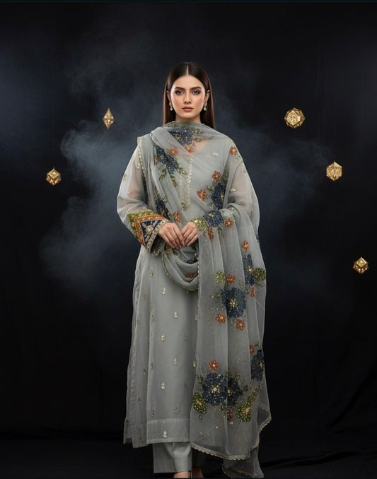 Ajwa’s Organza Gotta work 3pc dress